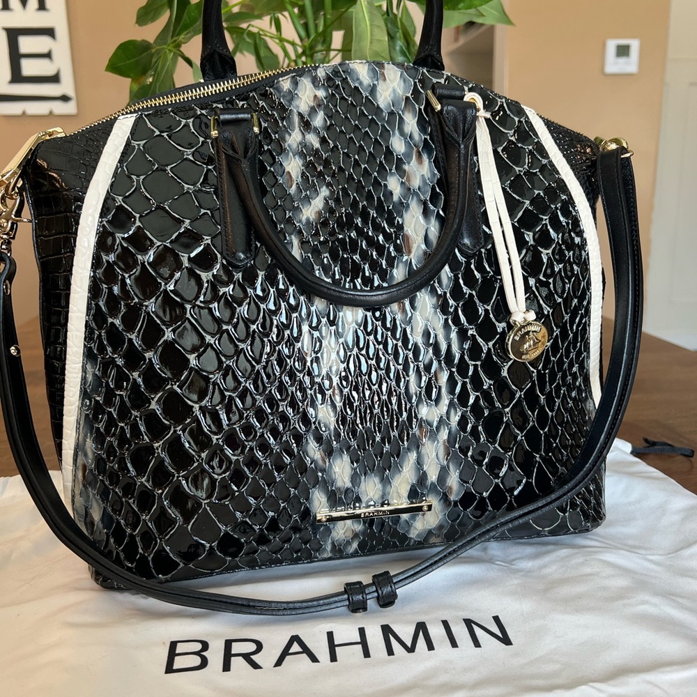 Brahmin large duxbury